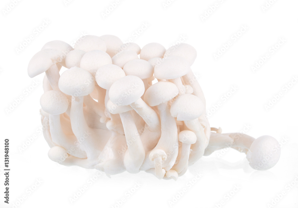shimeji white mushrooms on white background. shimeji white mushrooms on white background.