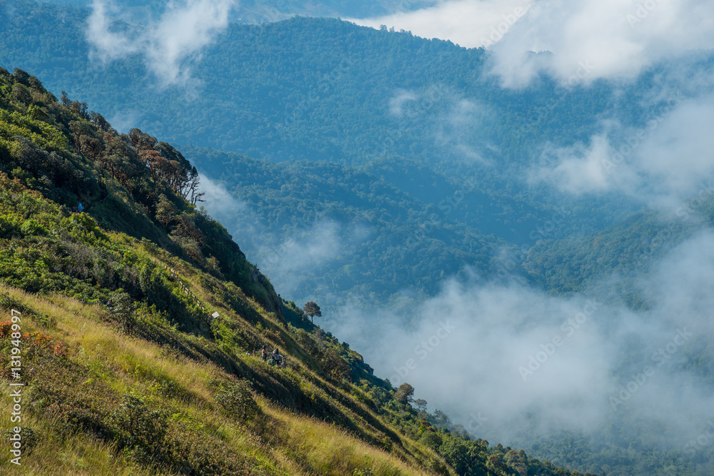 The beautiful nature trails on the ridge of Kio Mae Pan one of tourist attraction in Doi Inthanon the highest mountain in Thailand.