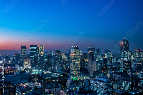 東京都心の夜景 © hit1912