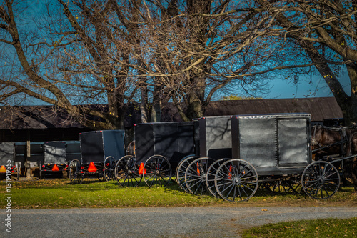 Old Order Amish Mennonite buggies