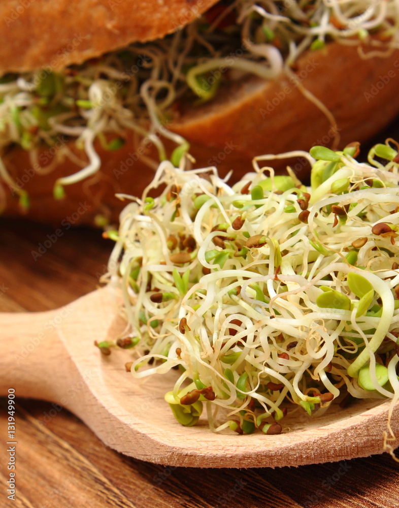 Alfalfa and radish sprouts on spoon and wholemeal bread roll Alfalfa and radish sprouts on spoon and wholemeal bread roll