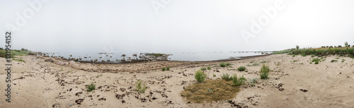 Fototapeta Naklejka Na Ścianę i Meble -  Rocky beach and morning fog in summer. Sea, mist, coast, forest, seaside natural environment. Shore in Koipsi Island, Estonia, Europe. 360 .degrees panorama.