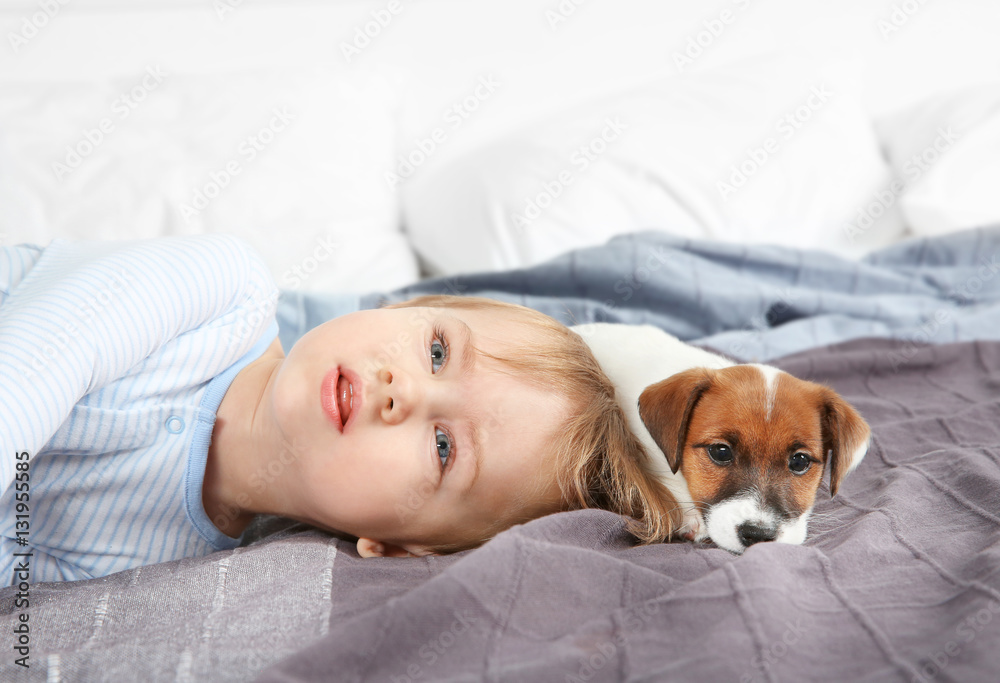 Cute little boy with funny puppy on bed at home