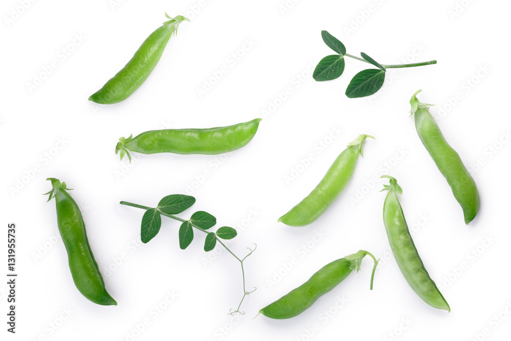 Pea pods and leaves (Pisum Sativum), paths