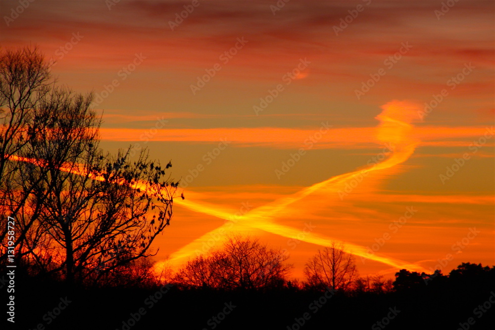 Fototapeta premium Colors cross the evening sky in December