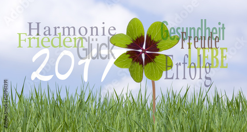 Wünsche zum Neujahr 2107