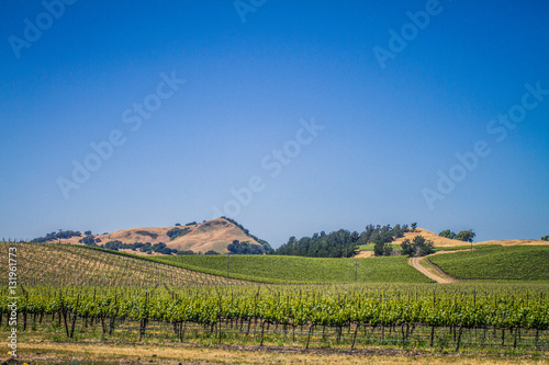 Napa Valley