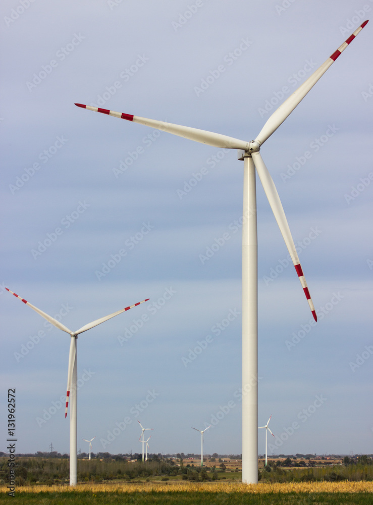 Windmills for electric power production on the field. Windmills for electric power production on the field.