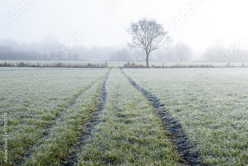 Landschaft mit Nebel und Bodenfrost im Winter in Schleswig-Holstein 