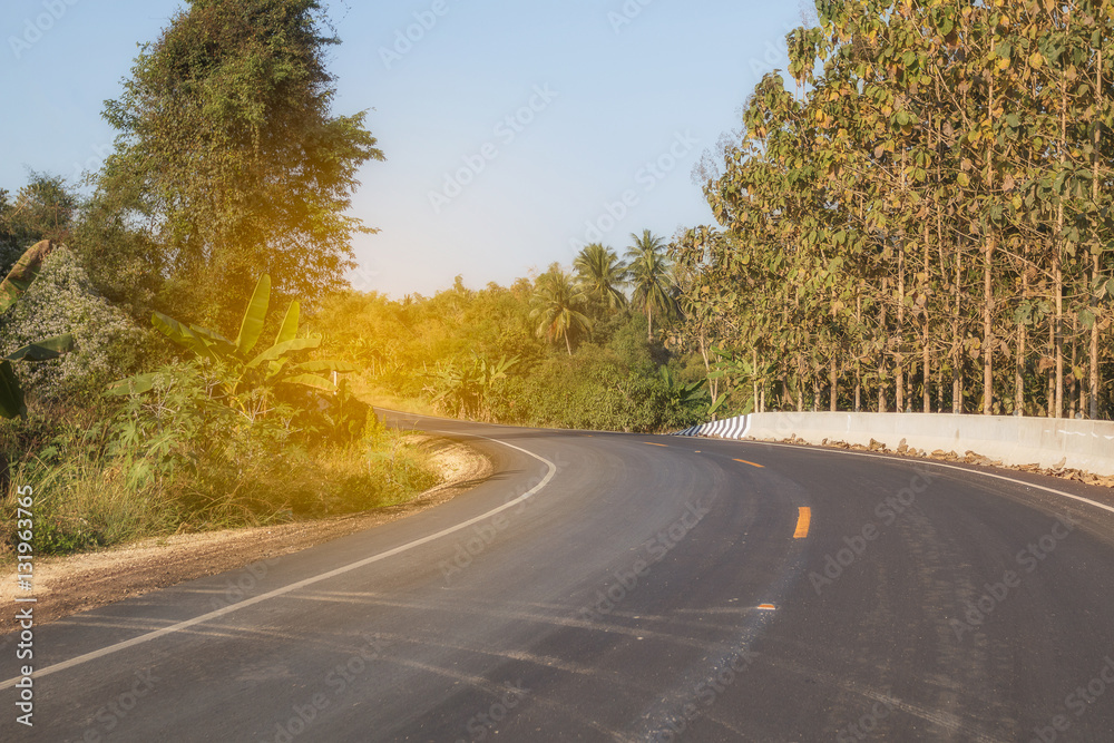 The road curve through forest.