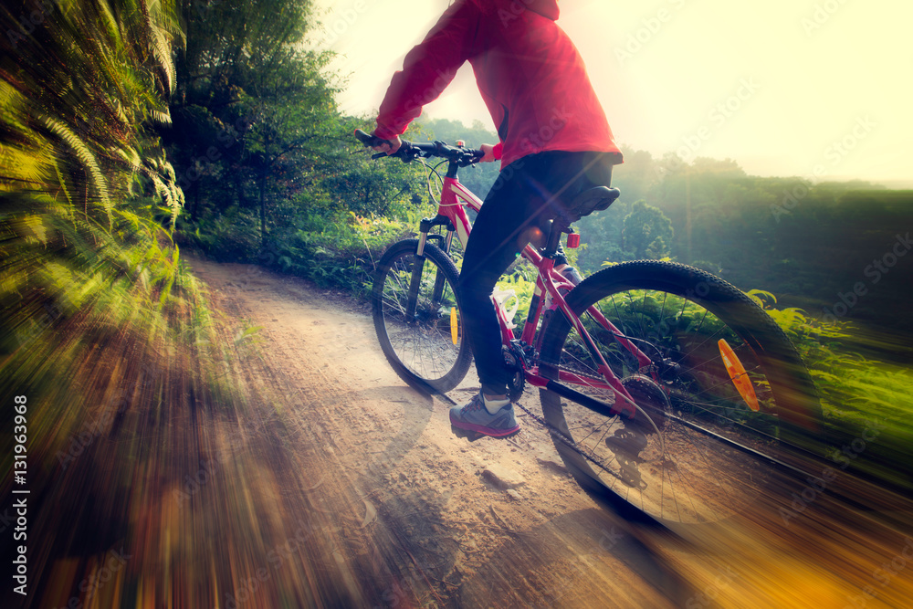 Naklejka premium riding mountain bike on sunrise forest trial