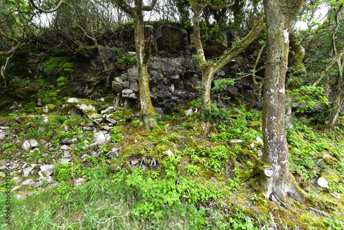 Irland - Glenveagh National Park photo