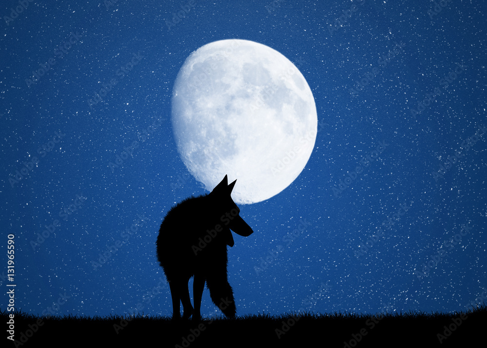 wolf in the moonlight