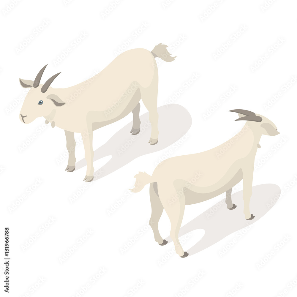 Isometric 3d vector illustration of white goat.