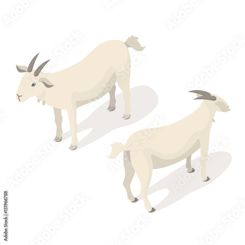 Isometric 3d vector illustration of white goat. © thruer