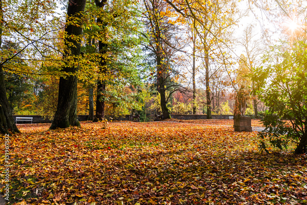 Park autumn with sun rays in late autumn forest Park autumn with sun rays in late autumn forest