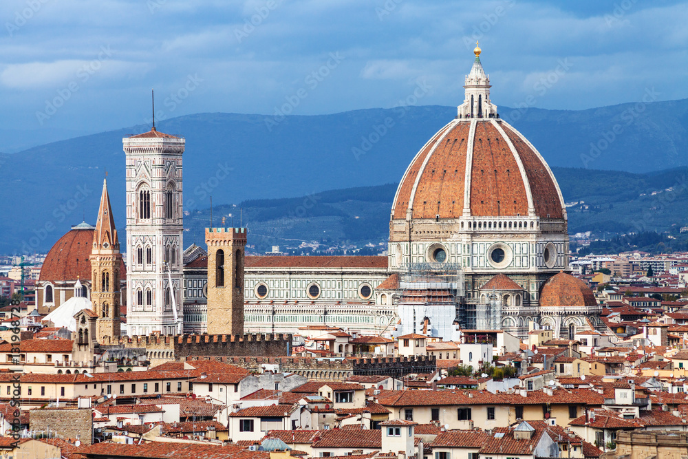 view of Cathedral in Florence town