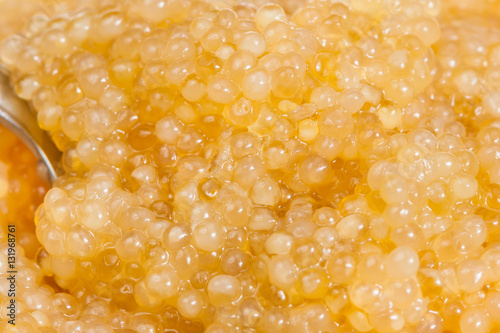 surface of salty yellow caviar of pike fish