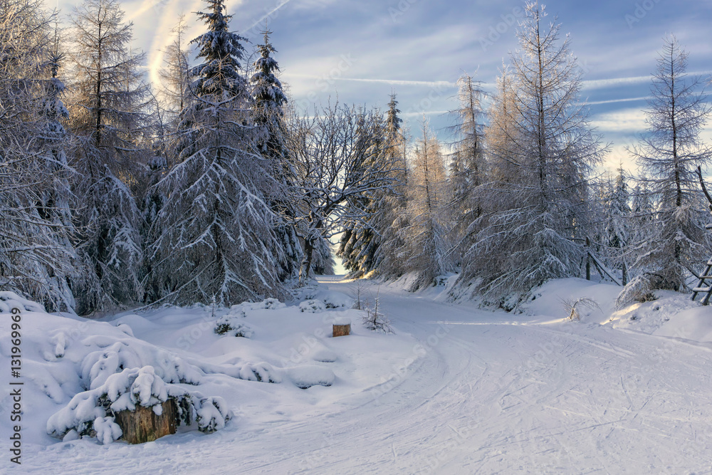 Obraz premium Road in mountains at winter in sunny day. Trees covered with hoarfrost illuminated by the sun. Groomed ski trails for cross-country in Karkonosze, Giant Mountains, Poland.