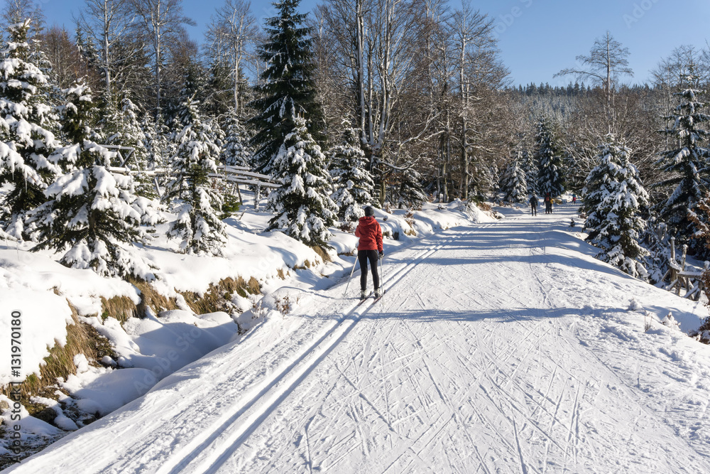 Single cross-country female skier running a groomed ski trail. Road in mountains at winter in sunny day. Trees covered with hoarfrost illuminated by the sun. Jizera Mountains, Czech Republic