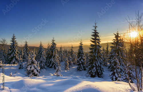 Sunset in the winter mountains landscape. Jizera Mountains, Czech republic © msnobody