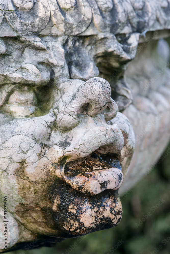 Beautiful close up portrait image of whimsical gargoyle on medie Beautiful close up portrait image of whimsical gargoyle on medie