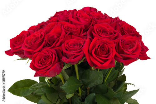 Bouquet of fresh valentine red roses isolated
