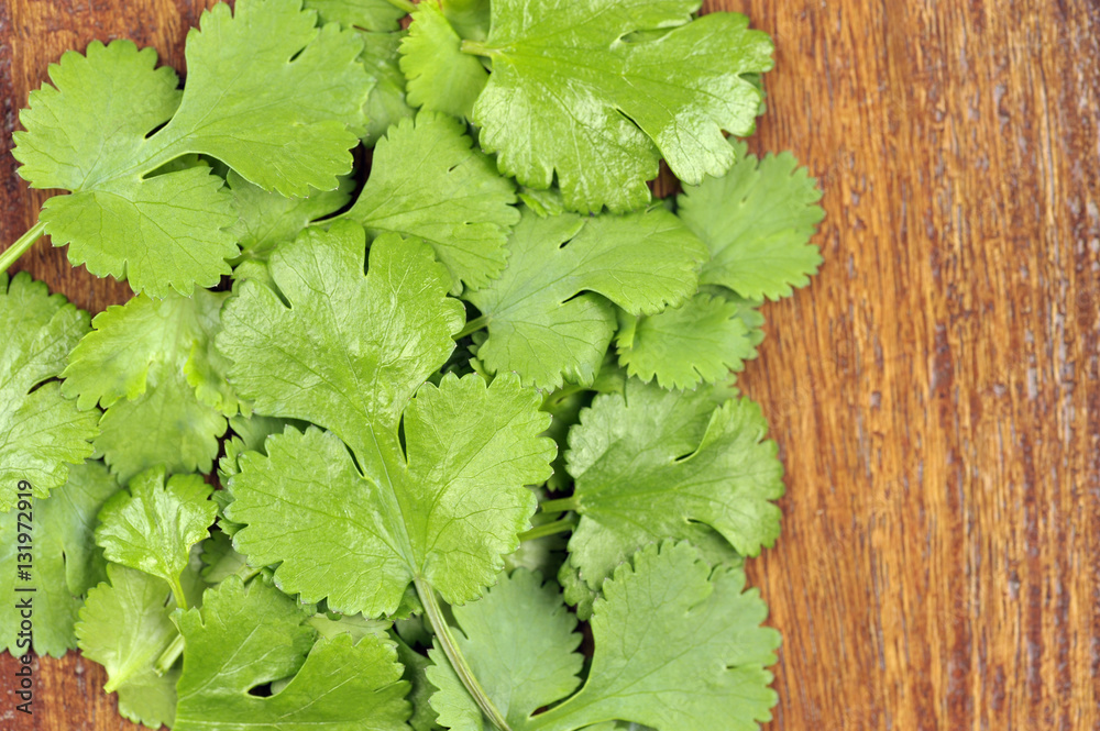 Coriander