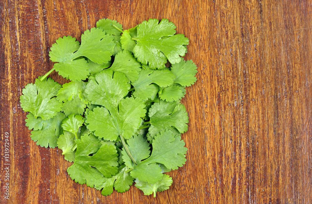 Coriander Coriander
