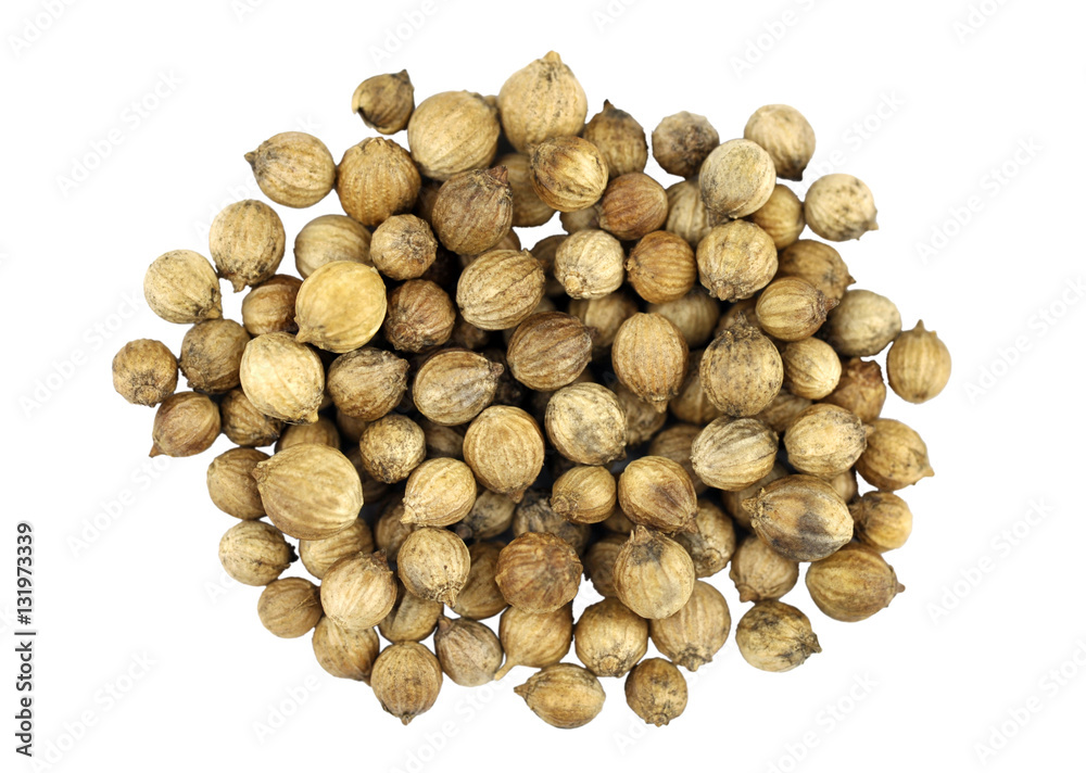 Coriander