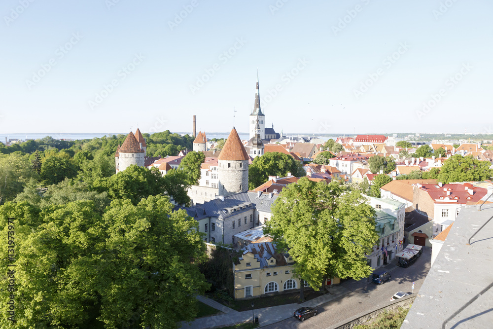 Tallinn cityscape view at park
