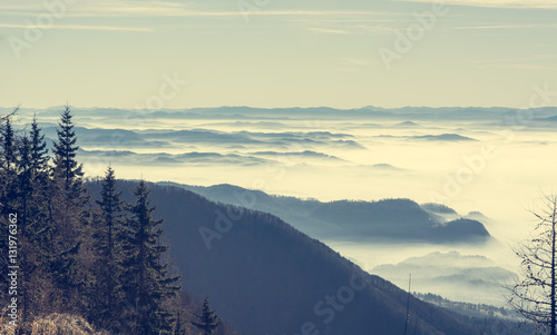 Aerial view of mists covering valley.
