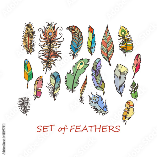 Ornate Set of Stylized and Abstract Feathers.