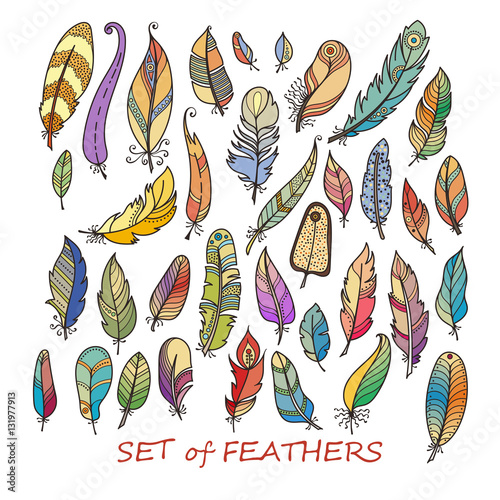 Ornate Set of Stylized and Abstract Feathers.