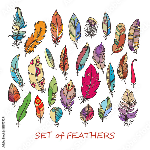 Ornate Set of Stylized and Abstract Feathers.