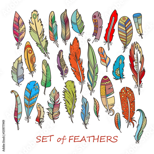 Ornate Set of Stylized and Abstract Feathers.