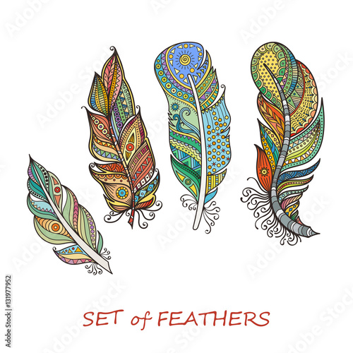 Ornate Set of Stylized and Abstract Feathers.