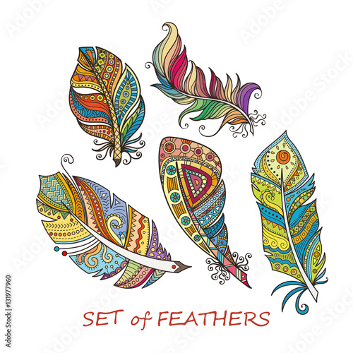 Ornate Set of Stylized and Abstract Feathers.