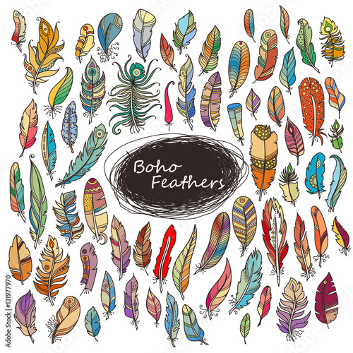 Ornate Set of Stylized and Abstract Feathers.