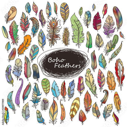 Ornate Set of Stylized and Abstract Feathers.