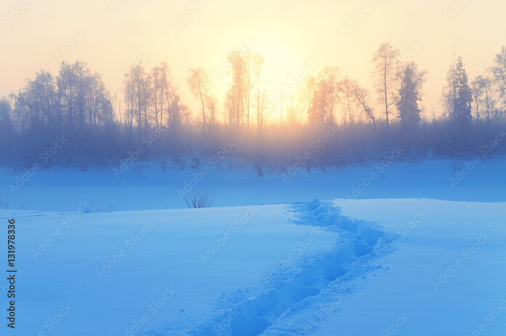 Winter morning misty landscape. Frozen trees in the rays of the rising sun. Winter morning misty landscape. Frozen trees in the rays of the rising sun.