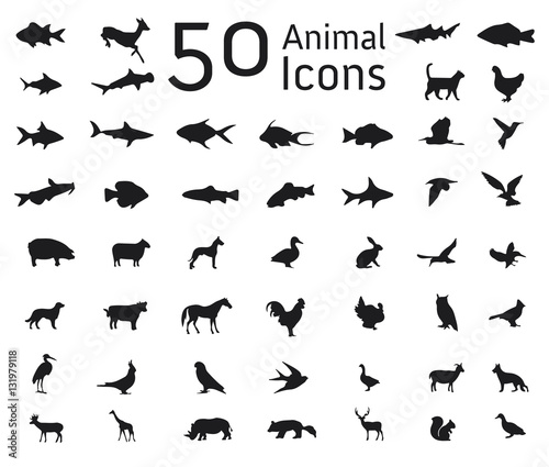 Animal icon set