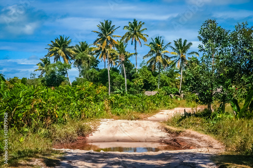 Malagasy coastal road