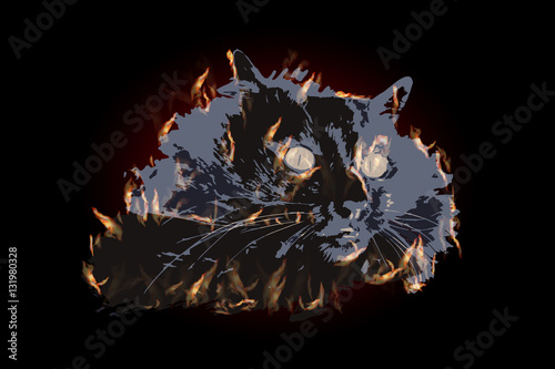 CAT ILLUSTRATION fire with big yellow eyes