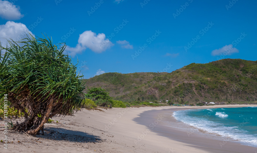 Tropical beach with a palm tree and hills