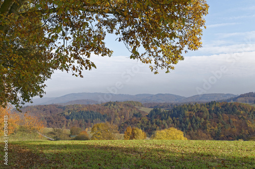 rural landscape in autumn
