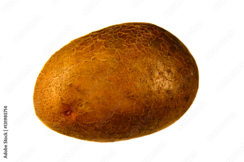 Fototapeta premium Single potato isolated on white