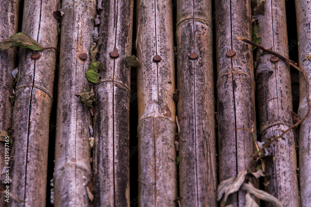 Wood of bamboo stems background and texture Wood of bamboo stems background and texture