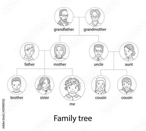 Family tree chart thin line style vector