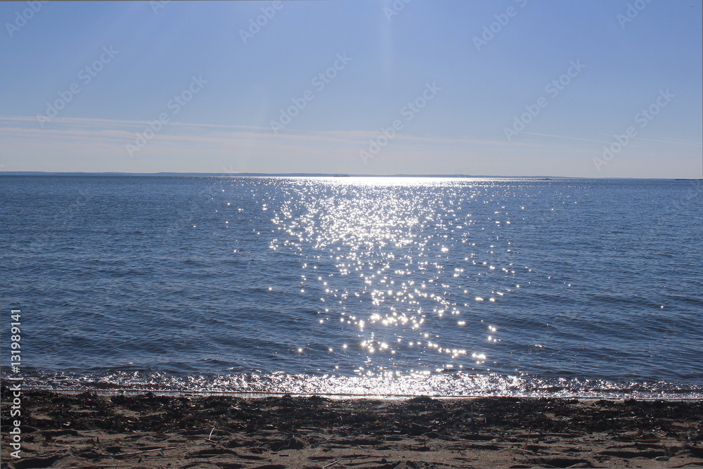 Naklejka premium beach at lowlight